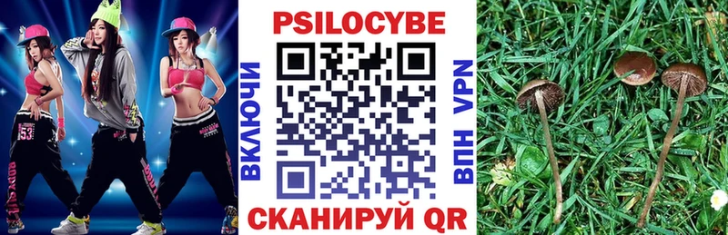 Купить закладки Семилуки Галлюциногенные грибы GOLDEN TEACHER